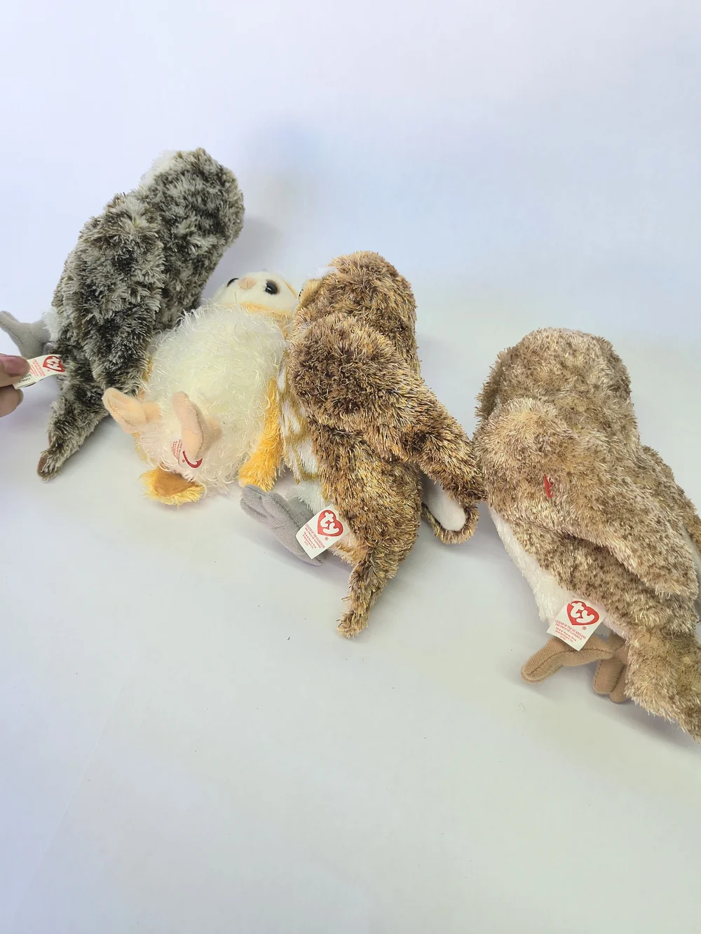 LEGEND OF THE GUARDIANS Owls of Ga'Hoole Soren Eglantine Gylfie Digger Plush TY